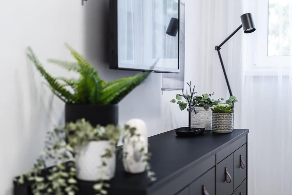 Myslbekova 5 Apartment Ostrava Exterior photo